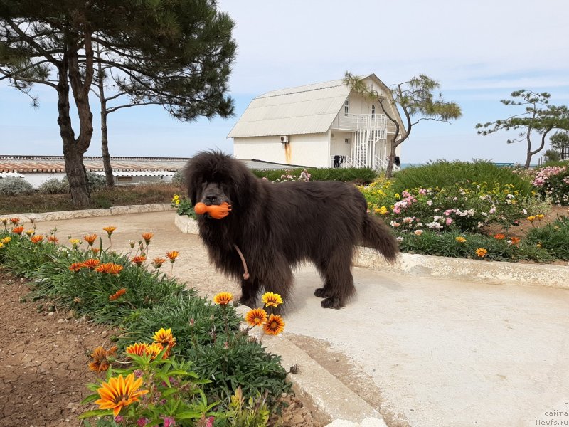 Фотография № 246141