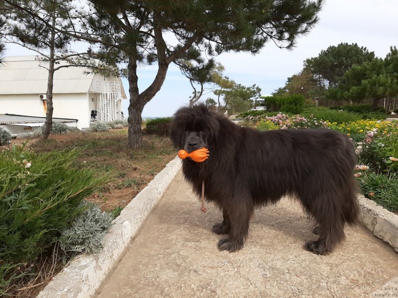 Фотография № 246142