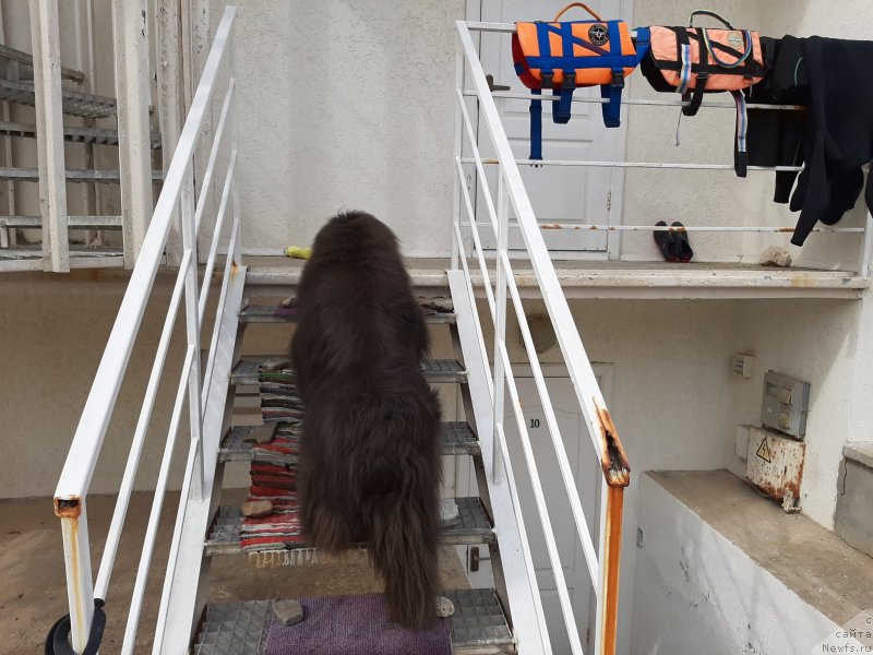 Фотография № 246143