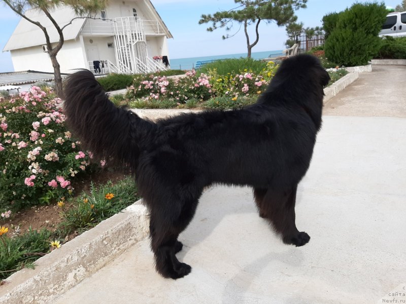 Фотография № 246146