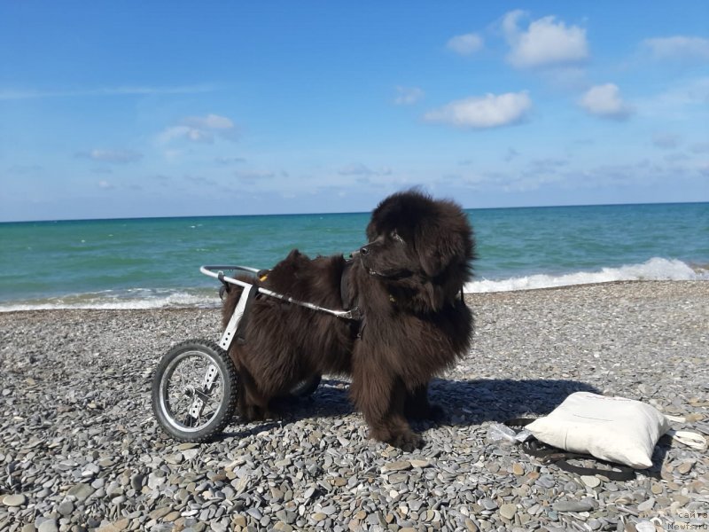 Фотография № 246150