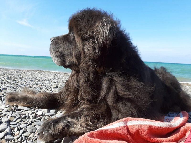 Фотография № 246151