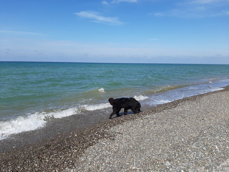 Фотография № 246155