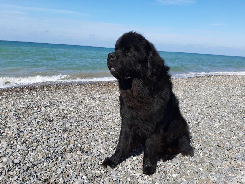 Фотография № 246156