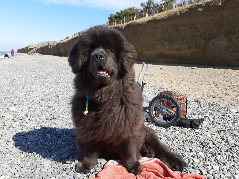 Фотография № 246157