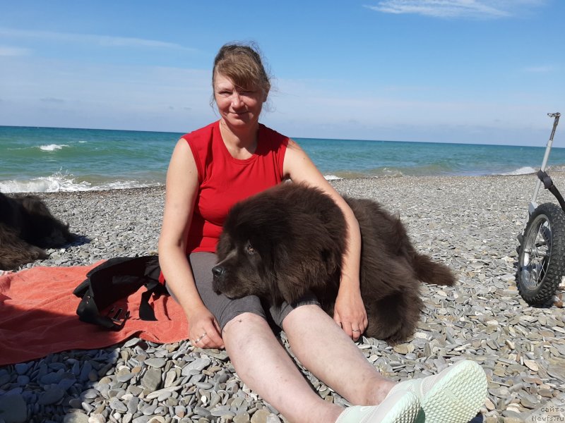 Фотография № 246159