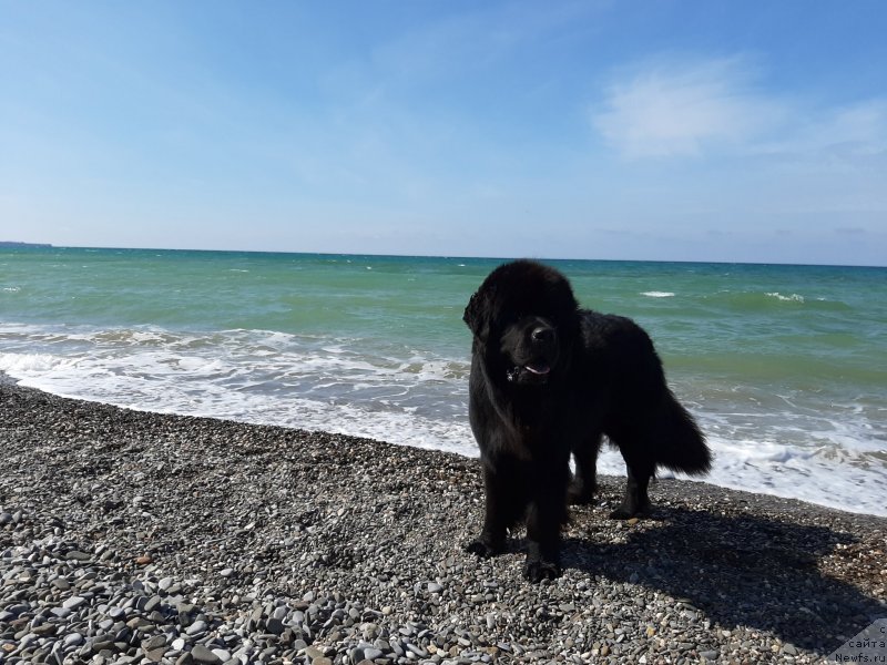 Фотография № 246160