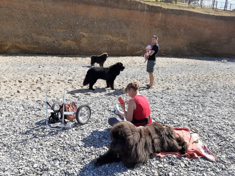 Фотография № 246162