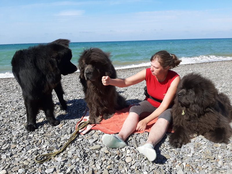 Фотография № 246163