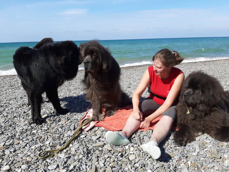 Фотография № 246164