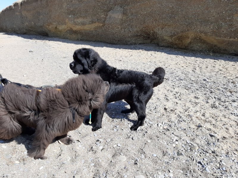 Фотография № 246167