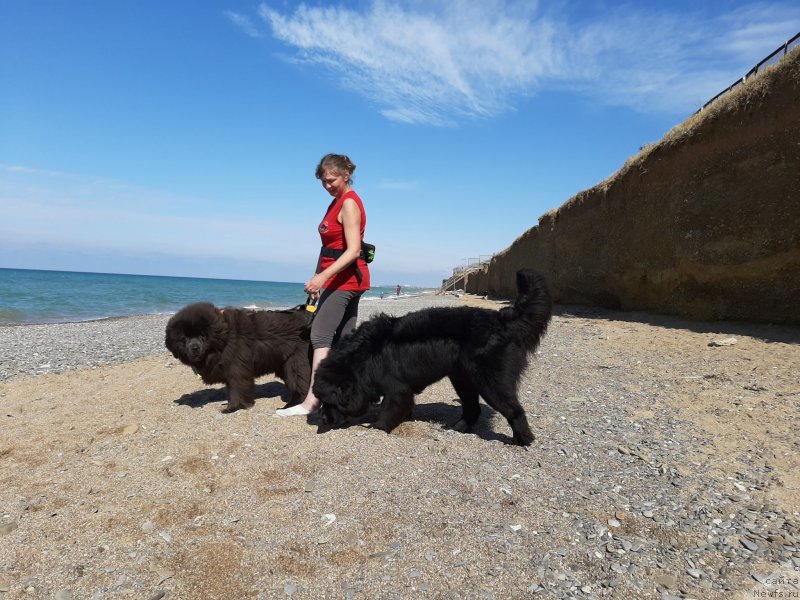 Фотография № 246169