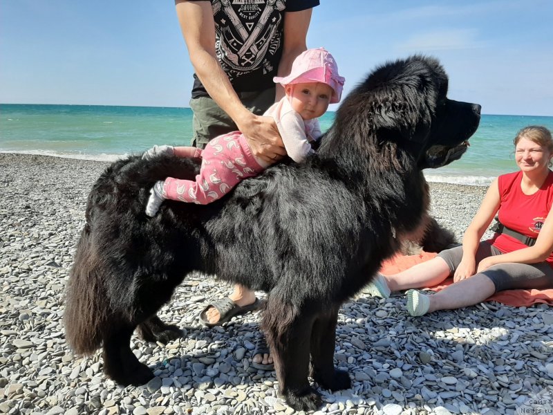 Фотография № 246174