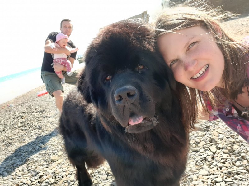 Фотография № 246175