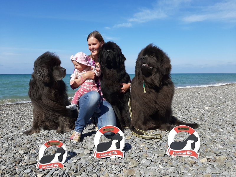 Фотография № 246177