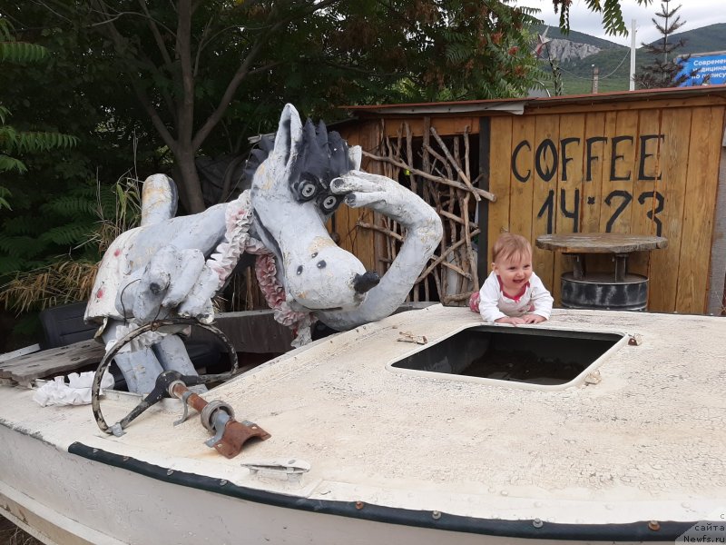 Фотография № 246178