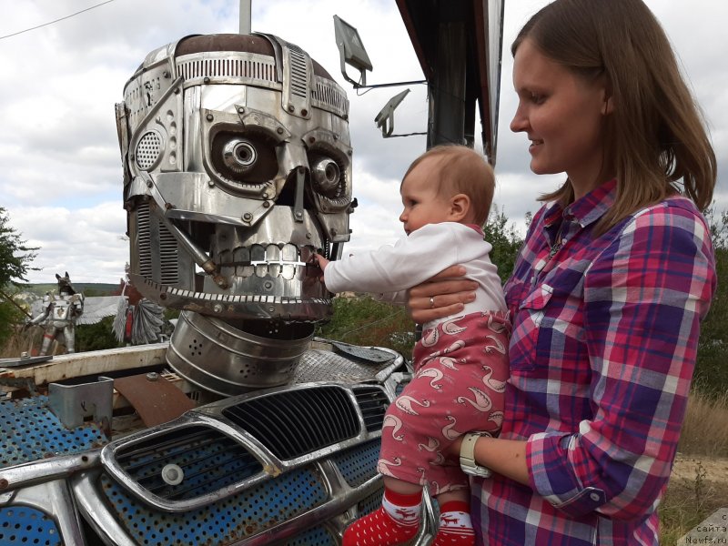 Фотография № 246179