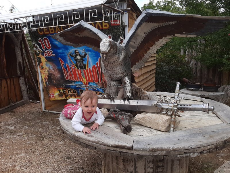 Фотография № 246180