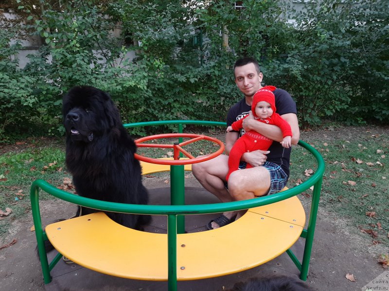 Фотография № 246184