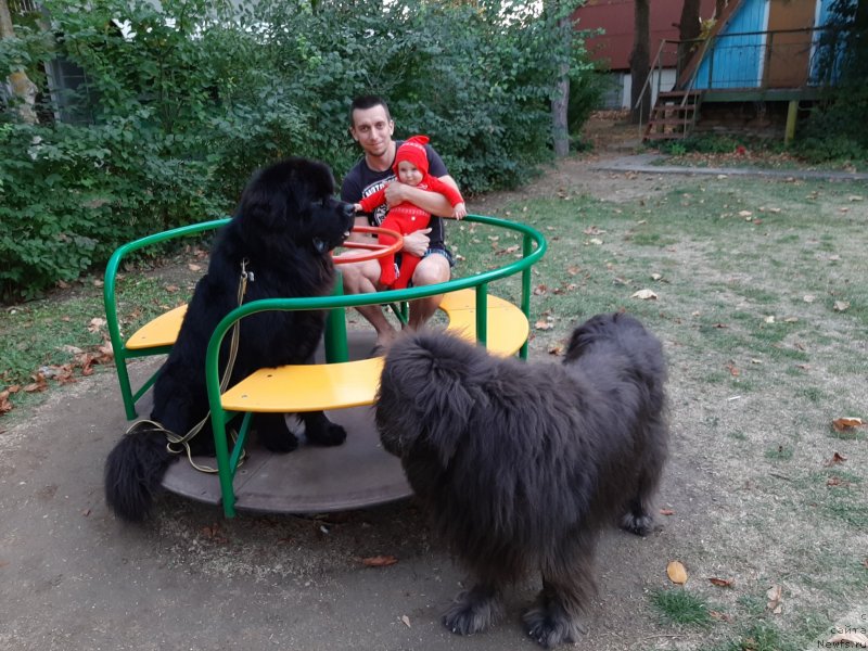 Фотография № 246185