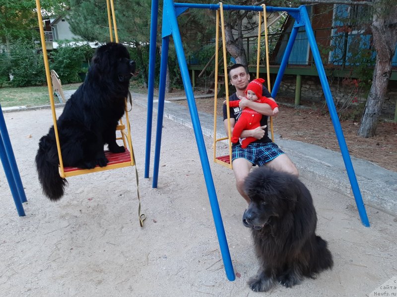 Фотография № 246186