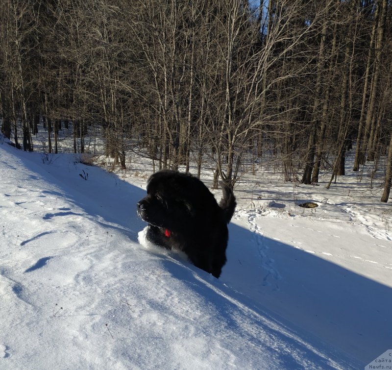 Фотография № 246188