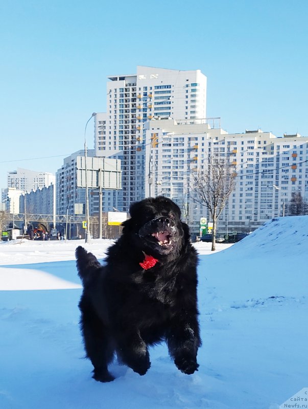 Фотография № 246190