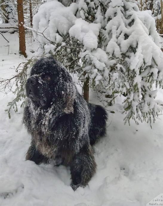 Фотография № 246191