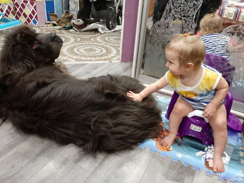 Фотография № 246221