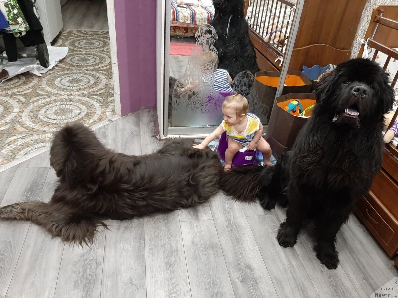 Фотография № 246222