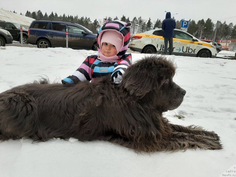 Фотография № 246227