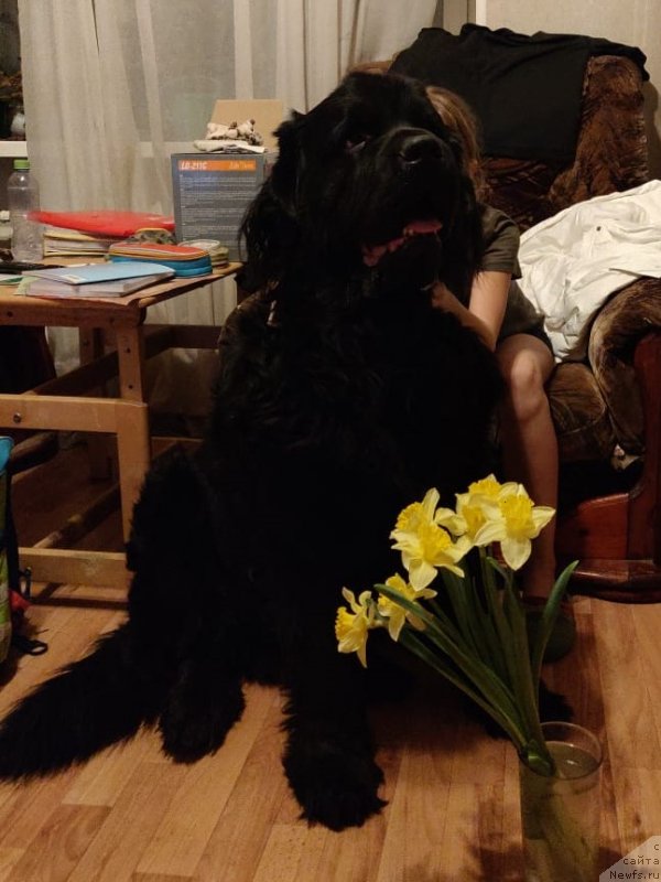 Фотография № 246244