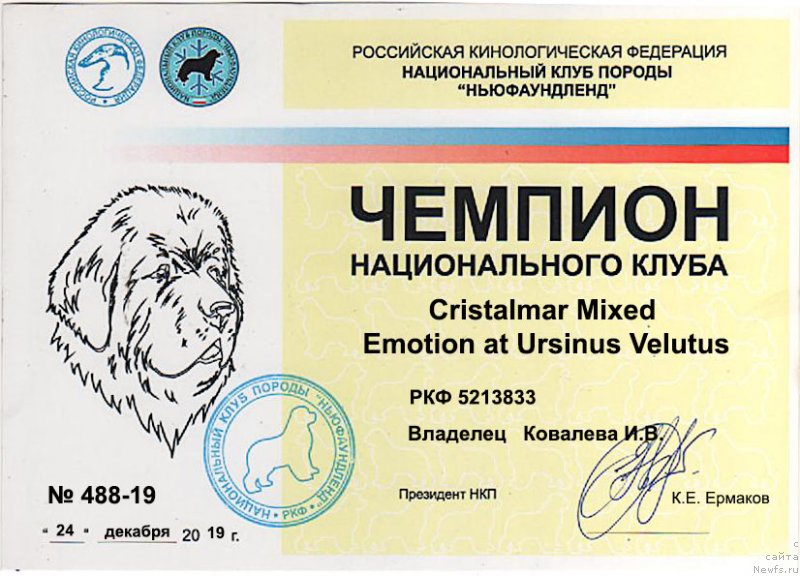 Фото: ньюфаундленд Cristalmar Mixed Emotion at Ursinus Velutus