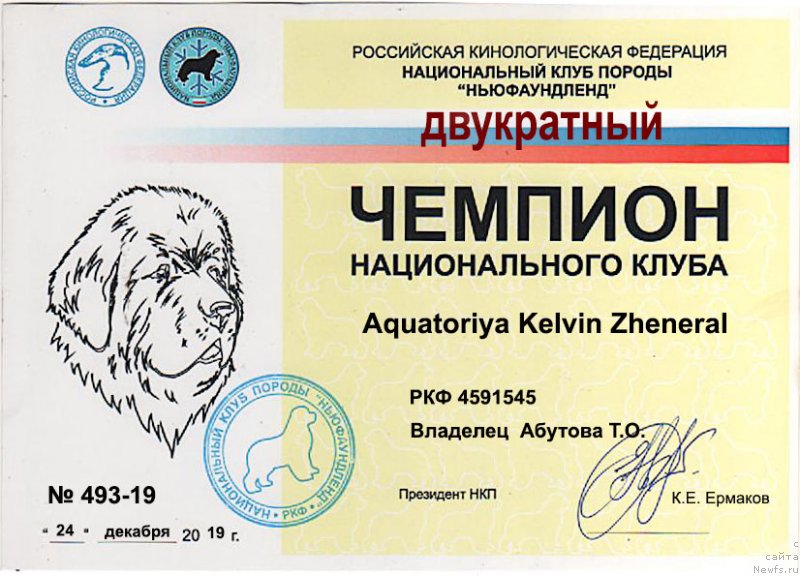 Фото: ньюфаундленд Акватория Келвин Женераль (Aquatoriya Kelvin Zheneral)