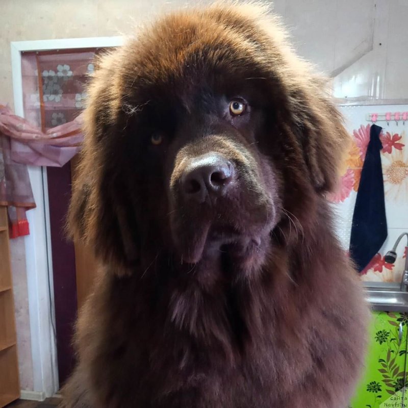 Фотография № 246277