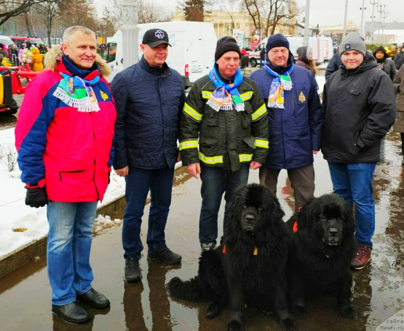 Фотография № 246287