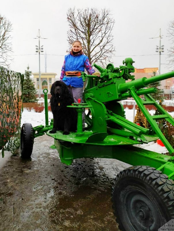 Фотография № 246288