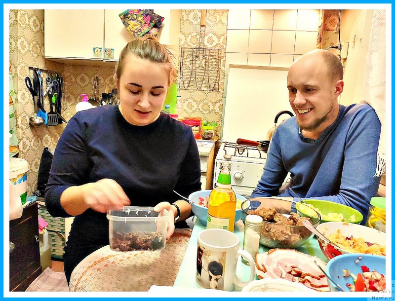 Фотография № 246289