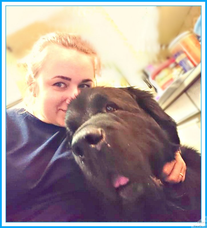 Фотография № 246290