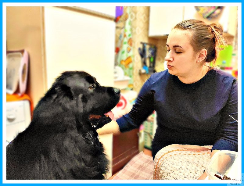 Фотография № 246291