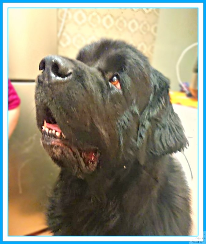 Фотография № 246296