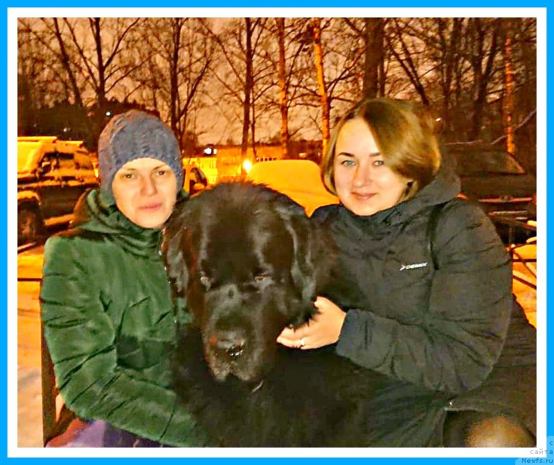 Фотография № 246298