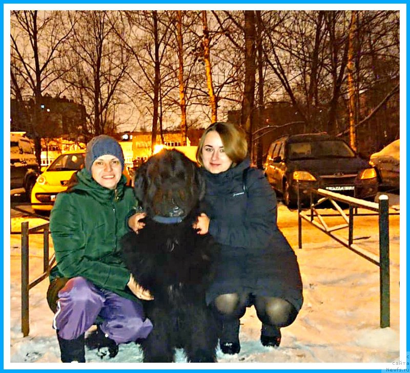 Фотография № 246299