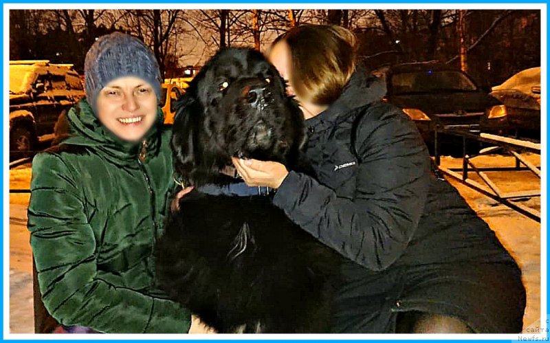 Фотография № 246300