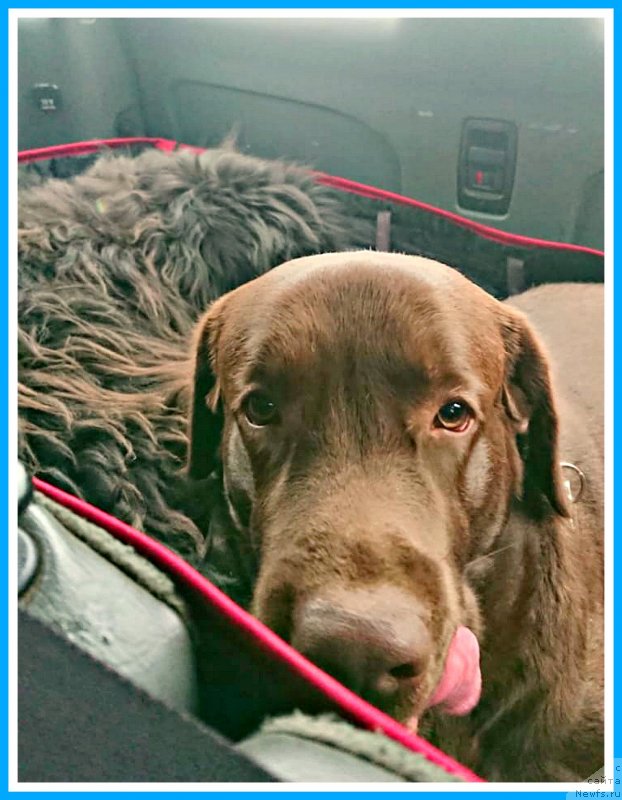 Фотография № 246302