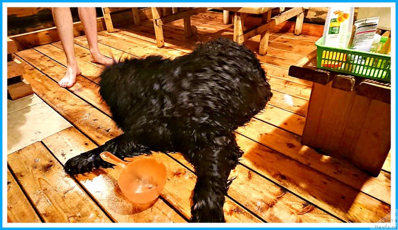 Фотография № 246303