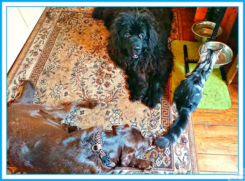 Фотография № 246305