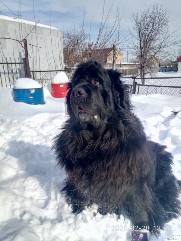 Фотография № 246324