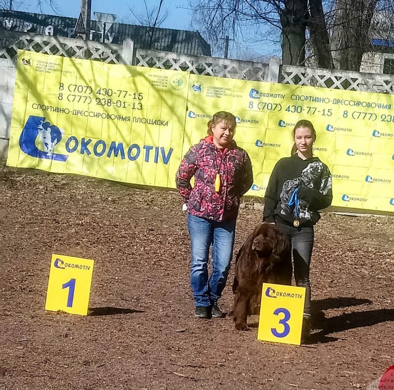 Фотография № 246342