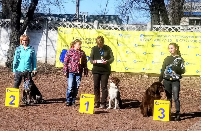 Фотография № 246343